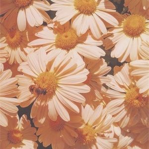 Meet your Posher, Ashlea